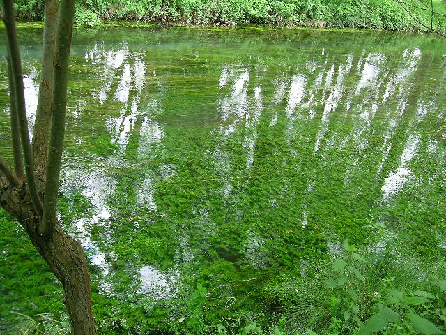 Sile River Park