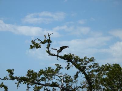 florida_05