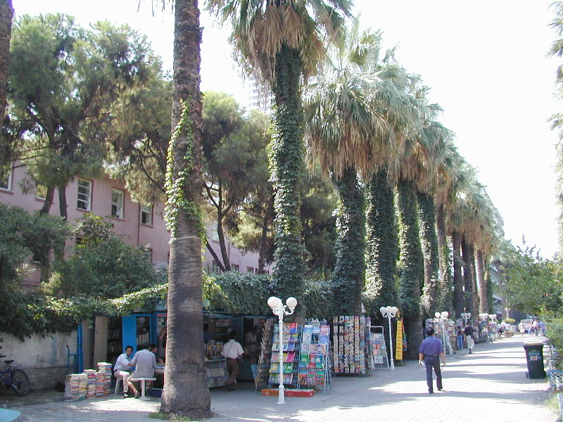 sP8252168.JPG