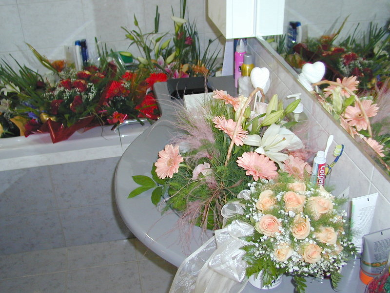 sP5160957.JPG