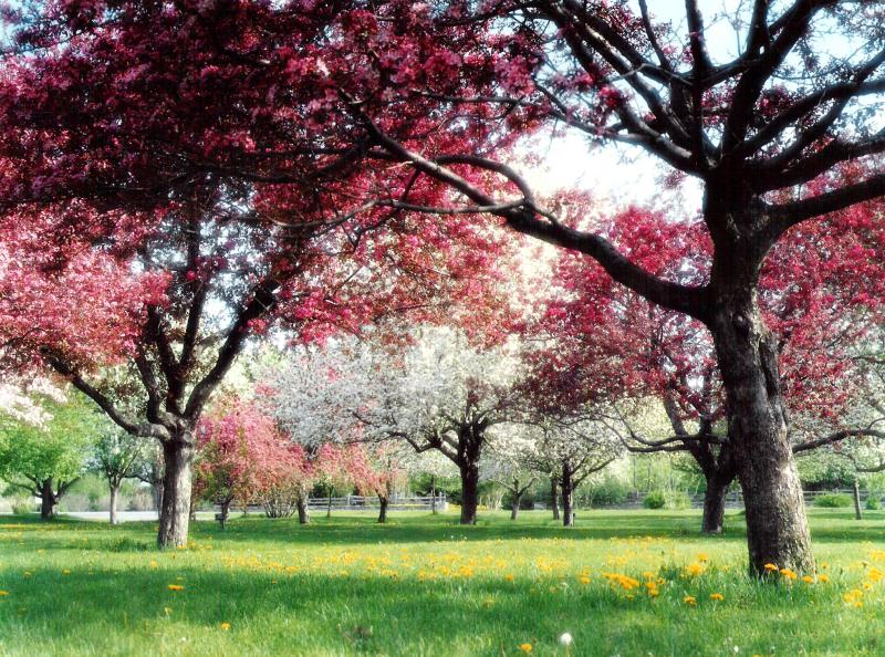 jardin Botanique .Montreal