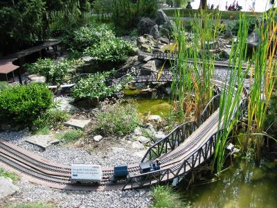 Train garden.jpg