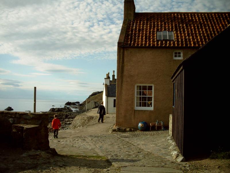 Crovie