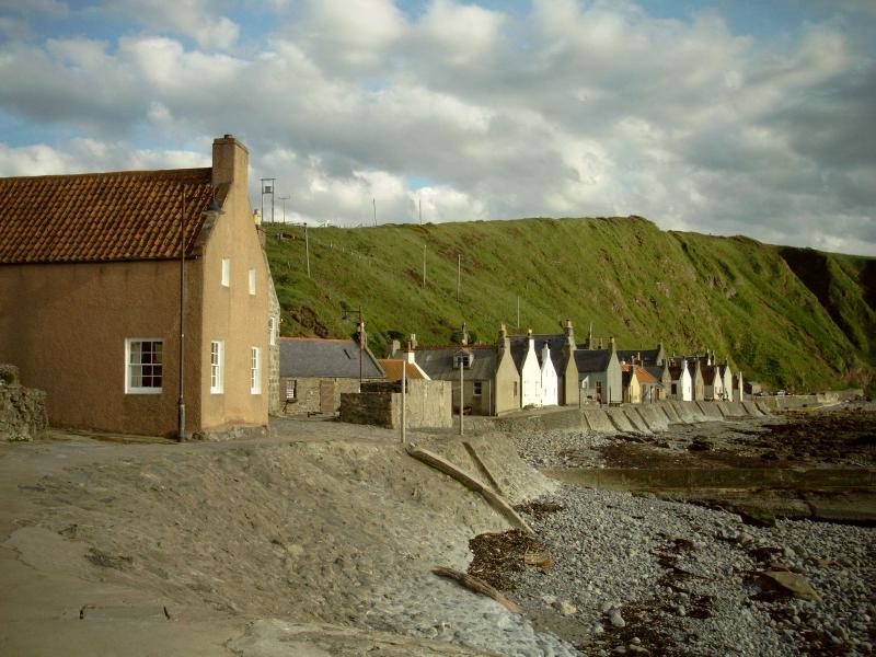 Crovie