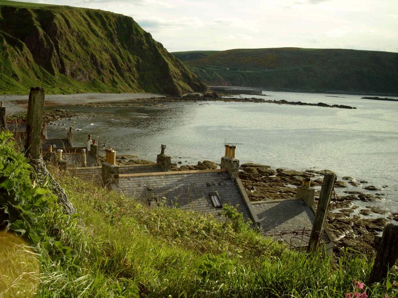 Crovie