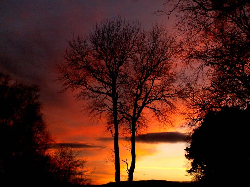 17th February 2005, another skyburst