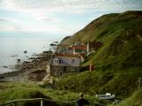 Crovie