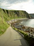 Crovie