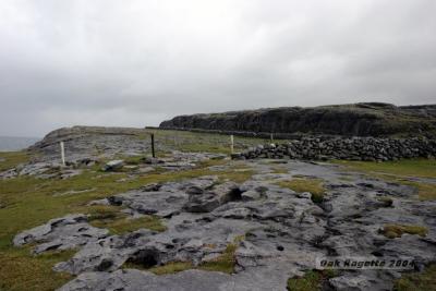 005_Burren_ShoreLine.jpg