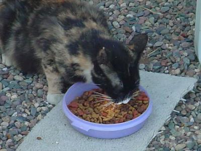 Heidi eating Chef's blend