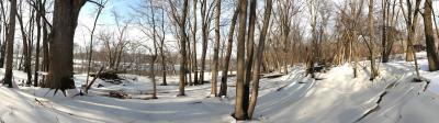 caved_ice_trees_river.jpg