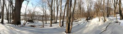 Ice Jams & Grand Rapids Melting