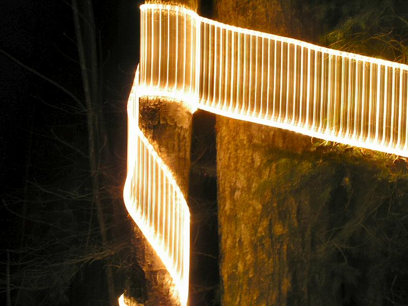 Light Snake</br>  by Light Snake