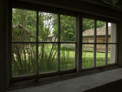 View from the basement