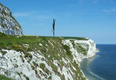 the White chalk cliffs of Dover