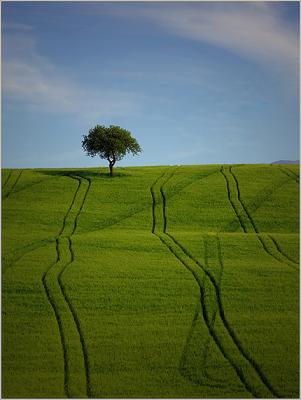 Ciao-Toscana-02.jpg