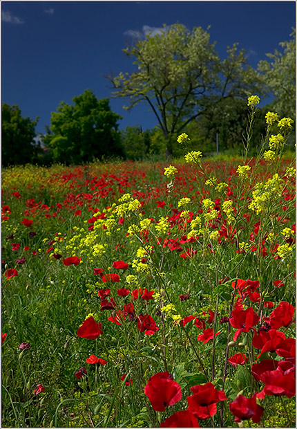 Ciao-Toscana-07.jpg