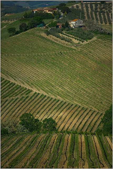 Ciao-Toscana-13.jpg