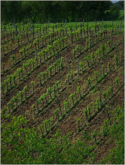 Ciao-Toscana-20.jpg