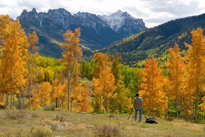 Aspens and Photographer