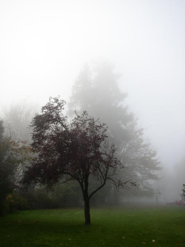 PA040135.jpg