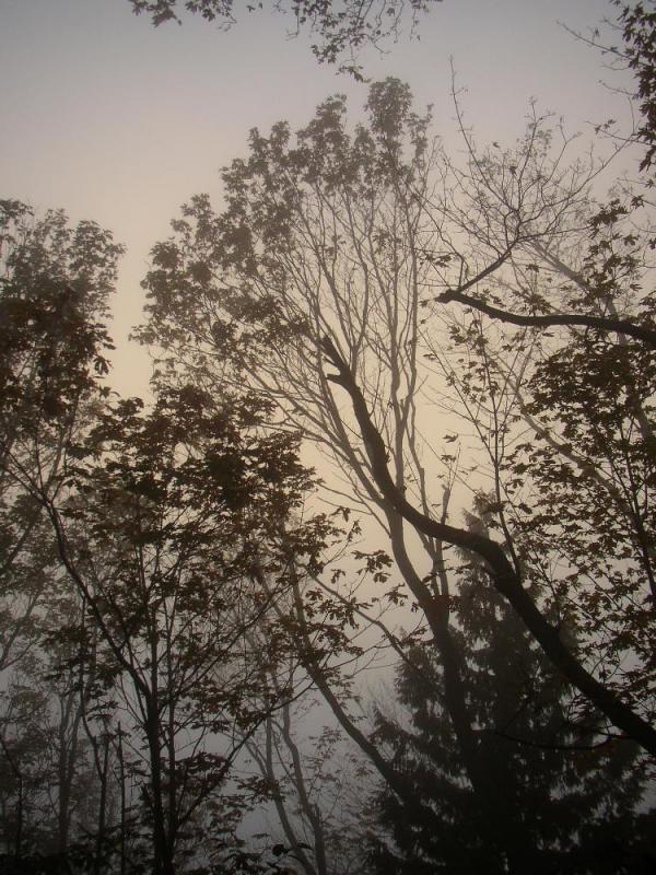 PA040163.jpg