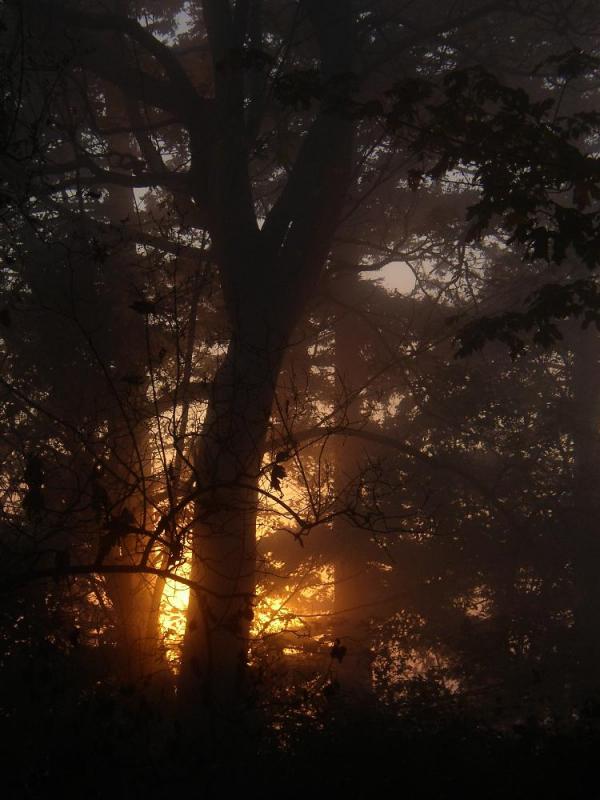 PA040184.jpg