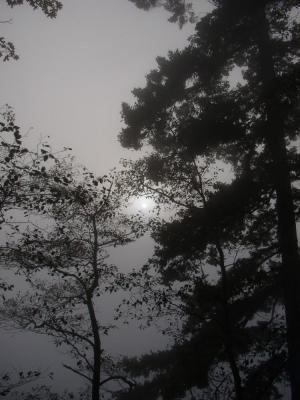 PA040083.jpg