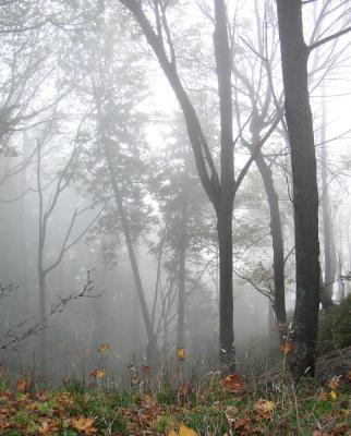 PA040085a.jpg