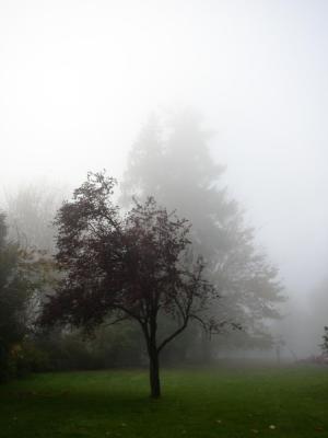 PA040135.jpg