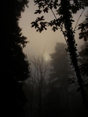 PA040140.jpg