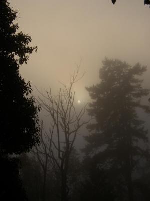 PA040141.jpg