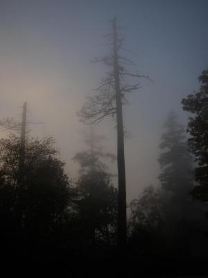 PA040167.jpg