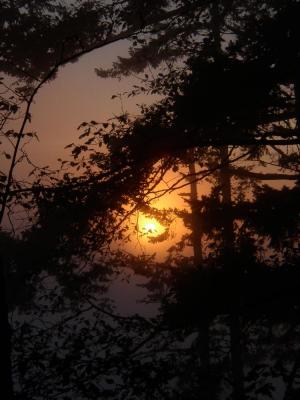 PA040185.jpg