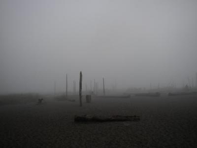 Foggy Evening at UBC