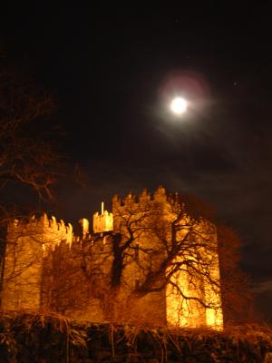 Bunratty Castle Night