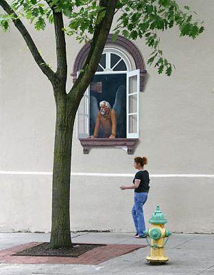 Picture Window - Baltimore