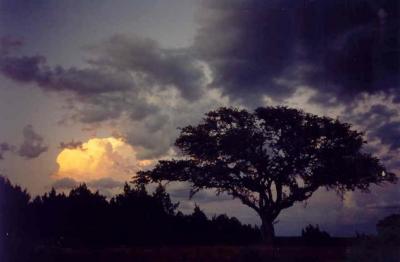 Eastern Sky at Sunset