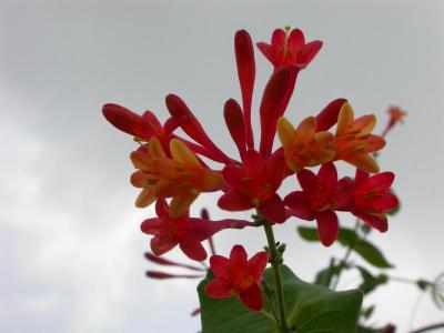 DSCN8056