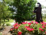 Water pump with purslane