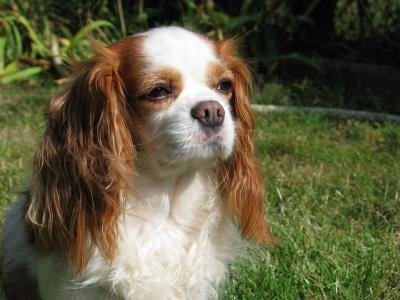 Bibie, mais si elle est belle Steph