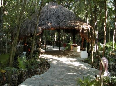 Jungle path with rest area