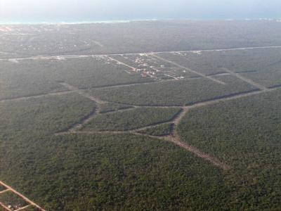 Mexican crop circles? Clear-cut just west of Playacar
