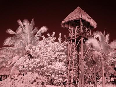 The Iberostar Tucan/Quetzal lifeguard tower