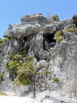 Another shot of the cliffs at Tulum