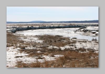 Plum Island