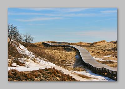 Plum Island 