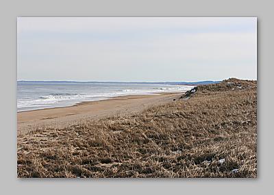 Plum Island 