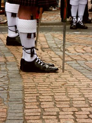 PICT8474.jpg