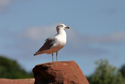 IMG_1392.jpg